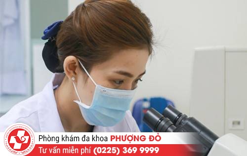 phuong-phap-mien-dich-can-bang-(benh-giang-mai)