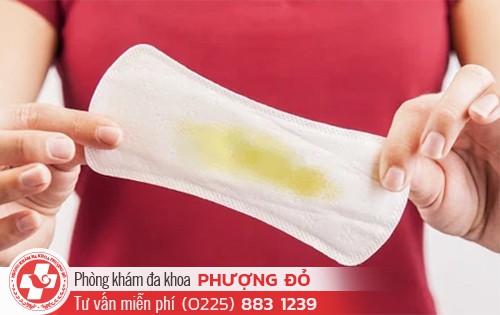 Vùng kín ra dịch màu vàng không mùi